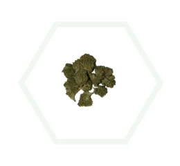 Mini Buds CBD Mango Haze 10g