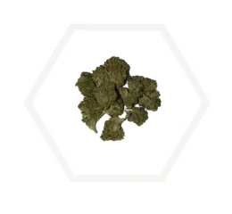minibuds black label family forersta cbd