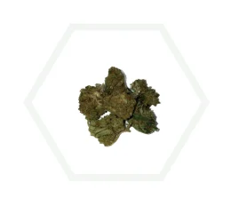 Mini Buds CBD Deep Candy 10 g