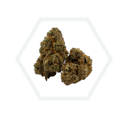 AMNESIA HAZE CBD HIDRO CBD 21%