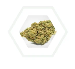 Tangerine Dream CBD