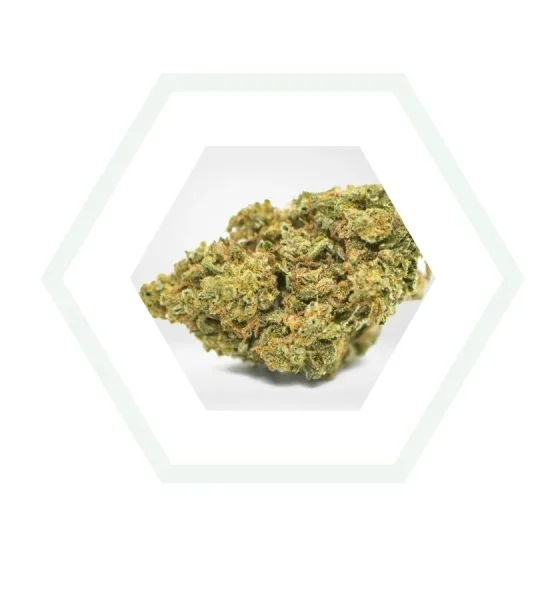 Pack CBD: EXCLUSIVE - Imagen 5