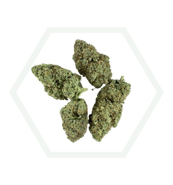 Mandarine CBD 10% CBD