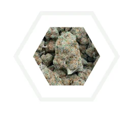 Buebblegum Hydro CBD 28%