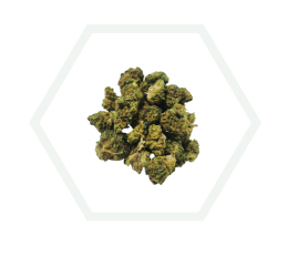 mini buds snow white black label molecula 10 oh