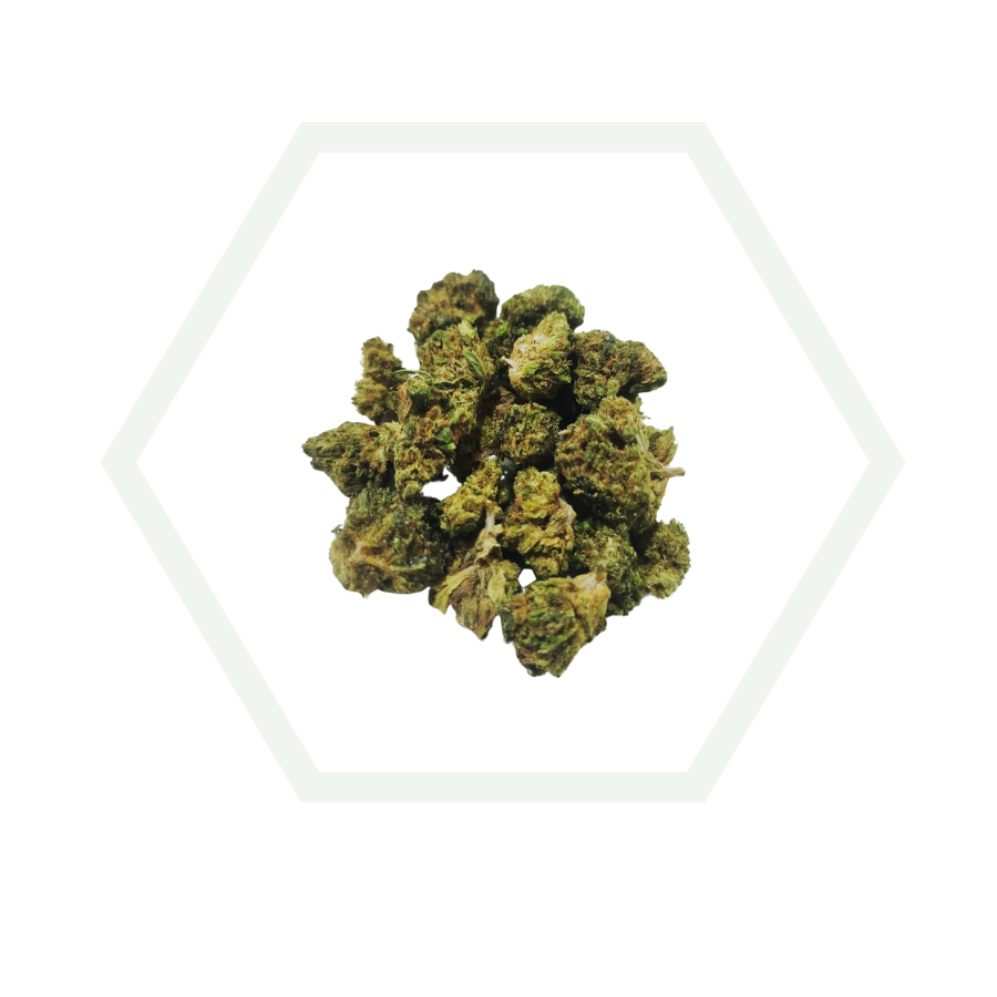 mini buds snow white black label molecula 10 oh