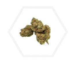 BLACKBERRY CBD HYDRO 25%