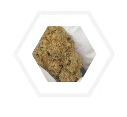 Minibuds Strawberry CBD 10 g