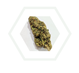 imagen de la alpine cpm flor de blacklabel family de Foresta CBD