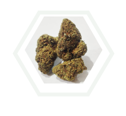 royal kush flor de blacklabel de foresta cbd a coruña