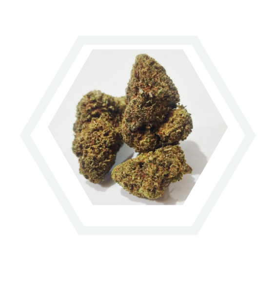 royal kush flor de blacklabel de foresta cbd a coruña