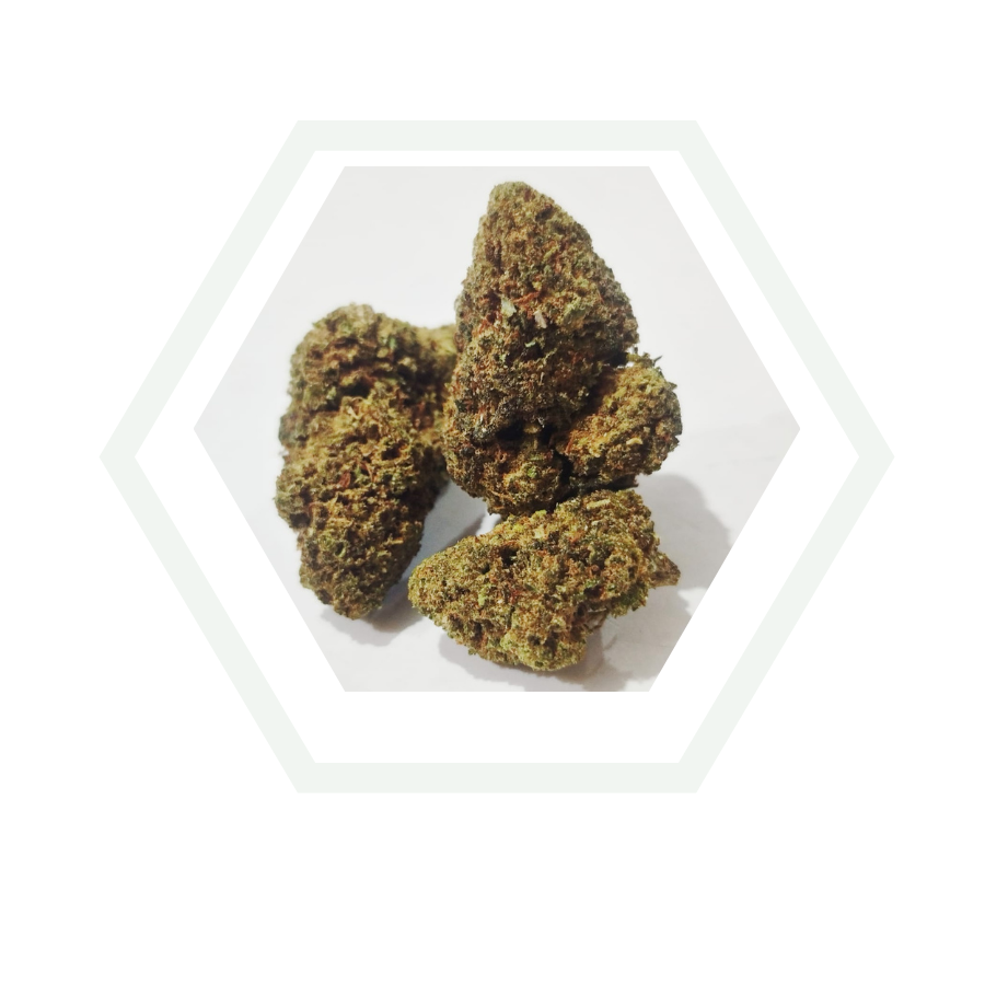 royal kush flor de blacklabel de foresta cbd a coruña