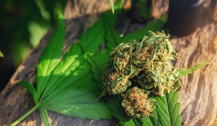 thc