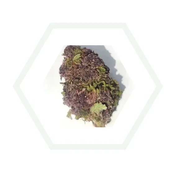 imagen de la purple haze cpm en nuestro almacen de foresta cbd