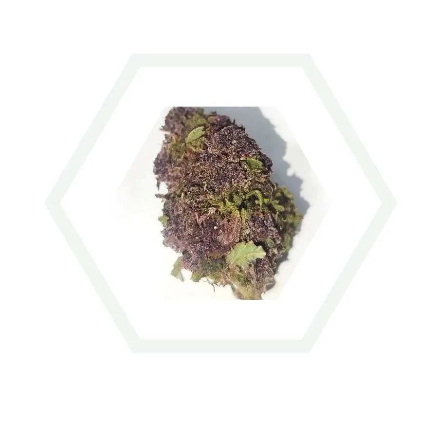 imagen de la purple haze cpm en nuestro almacen de foresta cbd