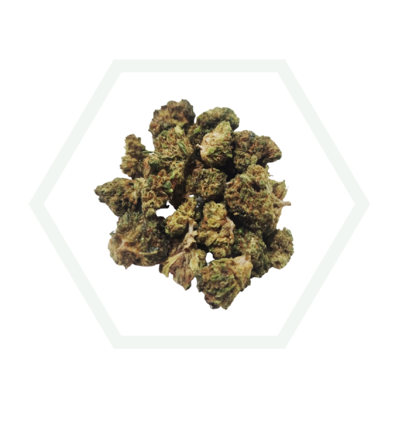 medium buds bubblegum blacklabel icono web de la cbd onlineshop de foresta cbd