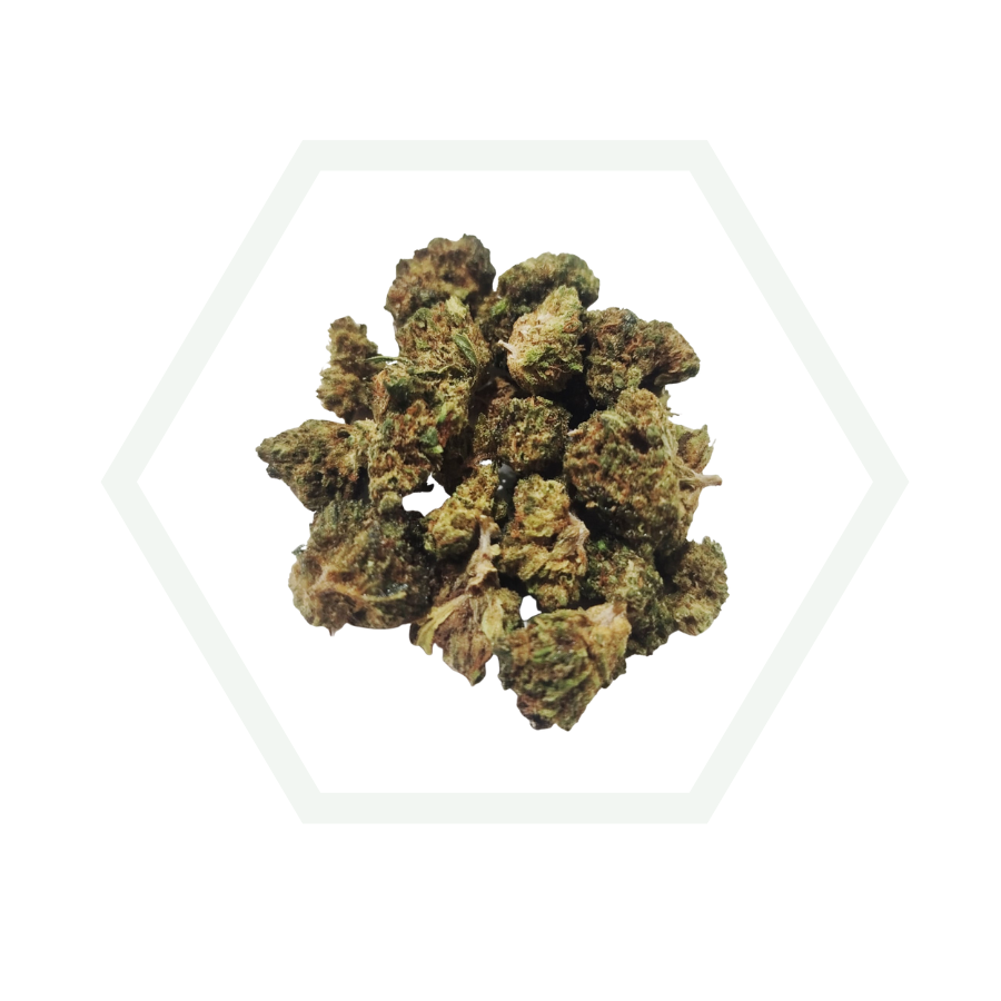 medium buds bubblegum blacklabel icono web de la cbd onlineshop de foresta cbd
