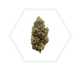 big buds green crack blackfamily foresta cbd a coruña