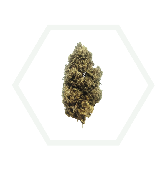big buds green crack blackfamily foresta cbd a coruña