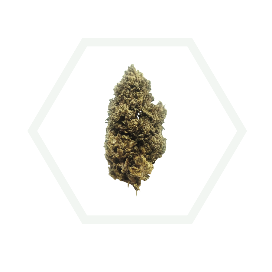 big buds green crack blackfamily foresta cbd a coruña