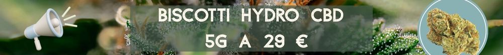banner y foto de la biscotti hydro cbd de foresta cbd a coruña en oferta