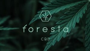imagen con el logo de Foresta CBD
