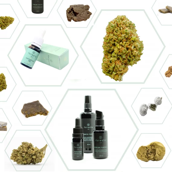mosaico de productos de foresta incluyendo resinas, flores, aceites, cosmetica